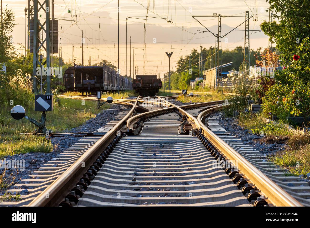 Schieneneninfrastruktur Ein Gleisbereich in einem Rangierbahnhof bei Sonnenuntergang. Mehrere Gleise laufen zusammen und verzweigen sich wieder, während im Hintergrund Güterwagen abgestellt sind. Die Szene wird von Oberleitungen und Signalanlagen umrahmt. Nürnberg Langwasser Südwest Bayern Deutschland *** infrastruttura ferroviaria Un'area di binari in un cantiere di smistamento al tramonto diversi binari convergono e si diramano di nuovo, mentre i carri merci sono parcheggiati sullo sfondo la scena è incorniciata da linee aeree e sistemi di segnalamento Norimberga Langwasser Baviera sud-occidentale Germania 20240809-286A1585-M4000 Foto Stock