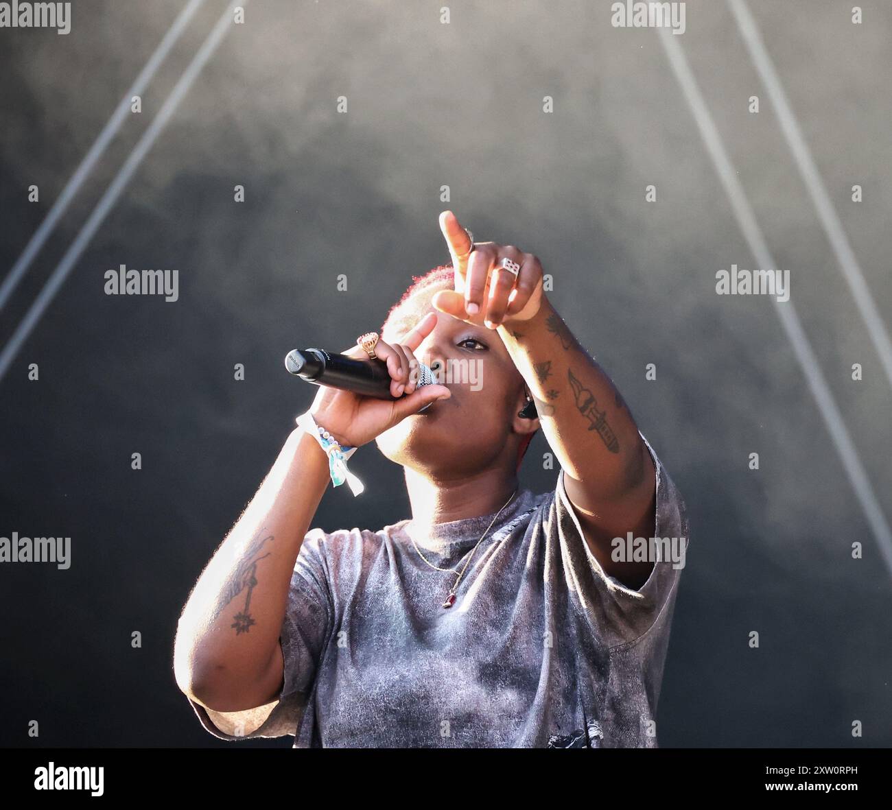 Green Man Festival, Brecon Beacons, Galles, Regno Unito. 16 agosto 2024. Arlo Parks al Green Man Festival. Crediti: Nidpor/Alamy Live News Foto Stock