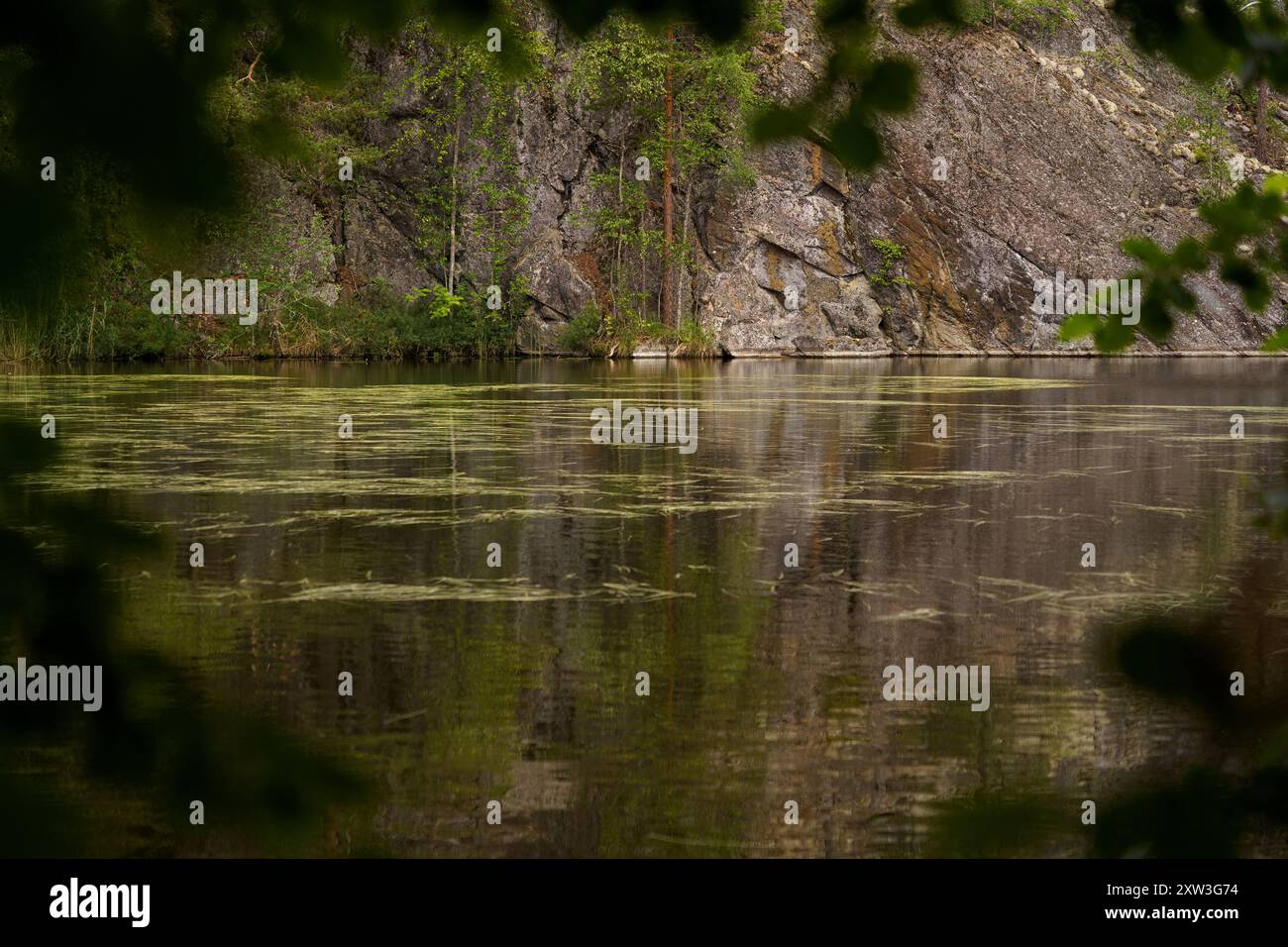 Lago circondato da scogliere rocciose in un'area boschiva durante il giorno, incorniciata da foglie Foto Stock