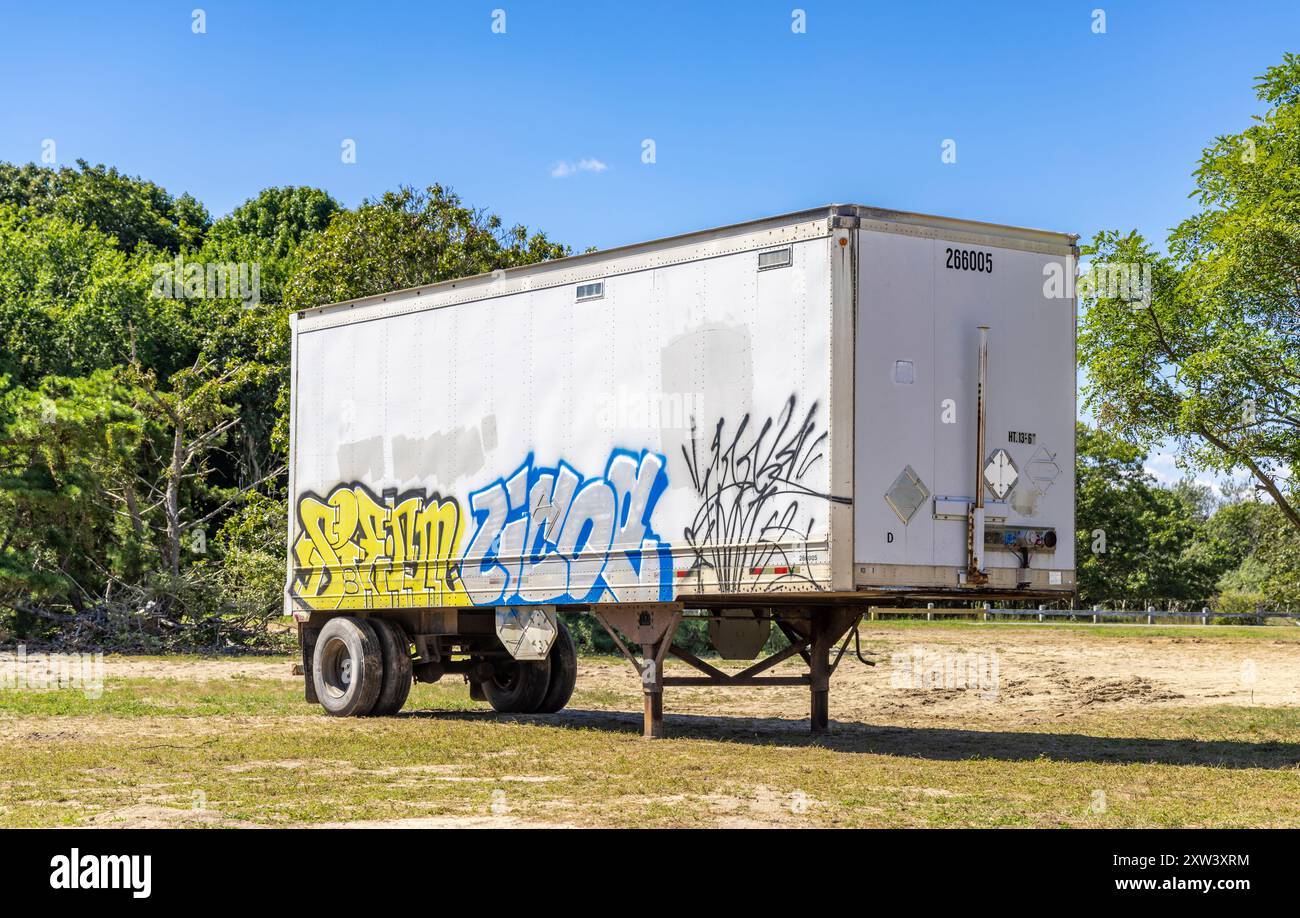 Semirimorchio seduto in un campo con graffiti Foto Stock