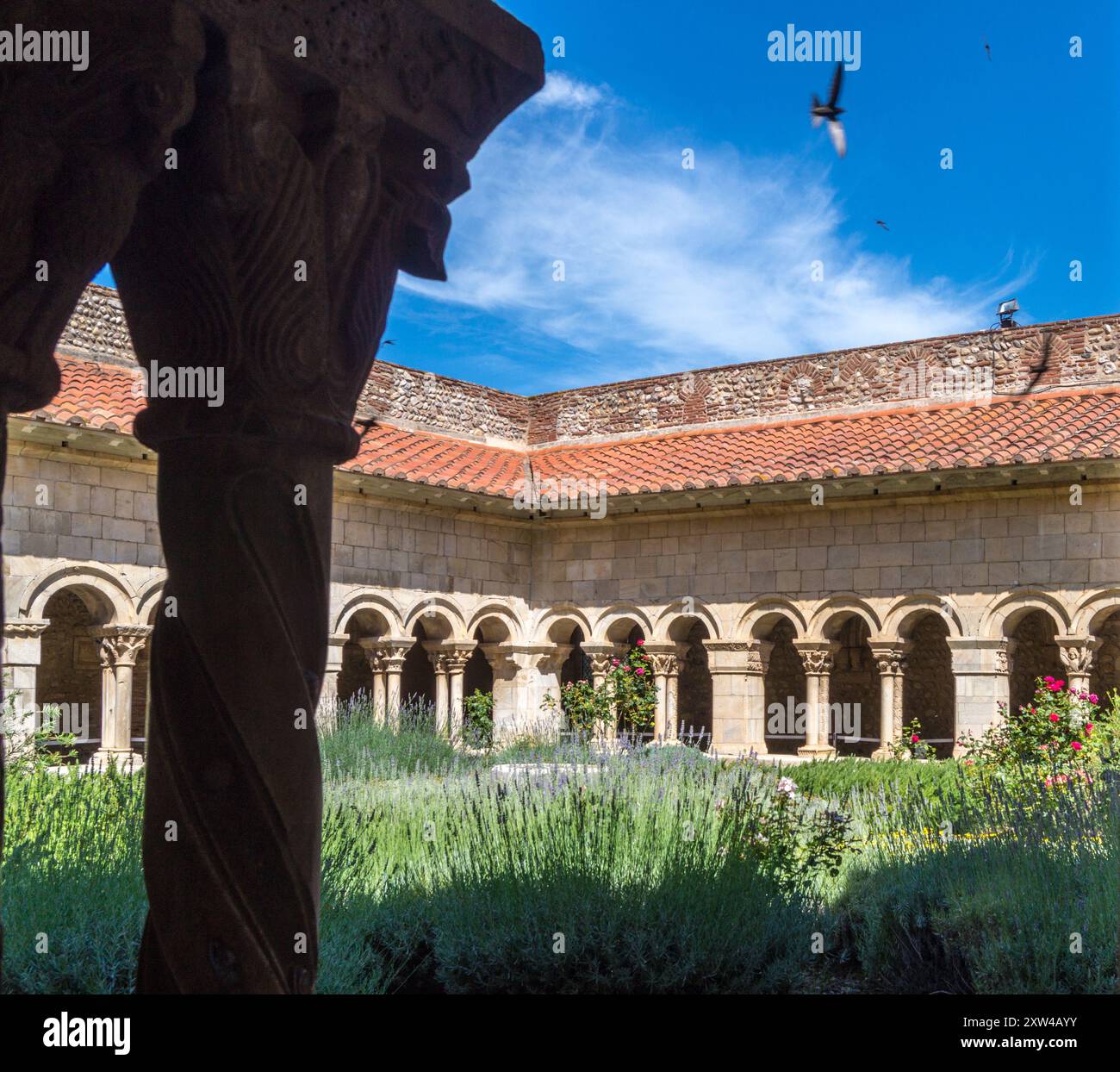 Chiostro della cattedrale romanica di Sainte-Eulalie e Sainte-Julie, Elne, Pyrénées Orientales, Occitanie, Francia Foto Stock
