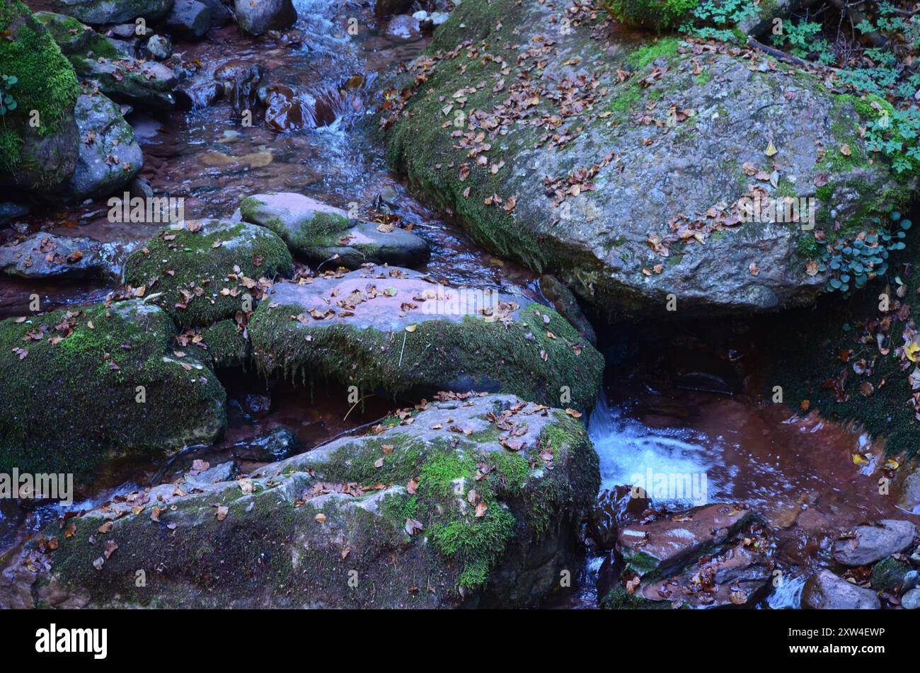 Un torrente di montagna nei Pirenei centrali Foto Stock