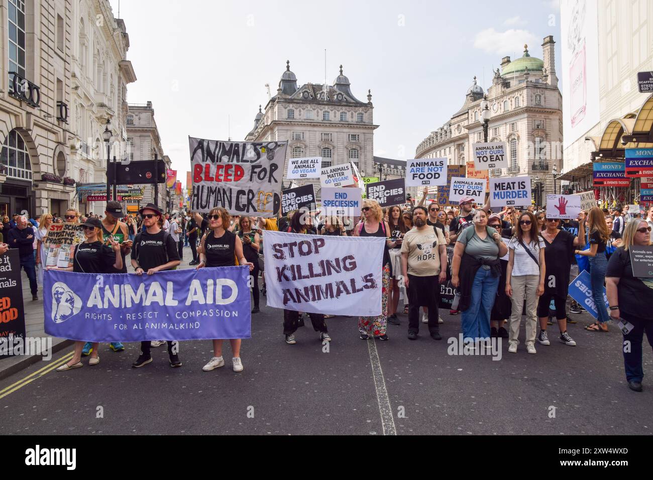 Londra, Regno Unito. 17 agosto 2024. Gli attivisti per i diritti degli animali passano attraverso Piccadilly Circus durante la National Animal Rights March nel centro di Londra. La protesta annuale evidenzia la sofferenza e la morte di miliardi di animali in tutti i settori dell'attività umana, lotta per la liberazione degli animali e per la fine dello sfruttamento animale, e promuove il veganismo e uno stile di vita senza crudeltà. Crediti: Vuk Valcic/Alamy Live News Foto Stock