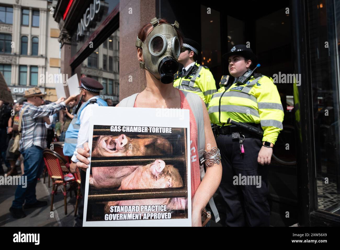 Londra, Regno Unito. 17 agosto 2024. Una donna si trova fuori da una Angus Steakhouse con indosso una maschera antigas e un cartello che mostra i maiali in una "camera a gas" mentre gli attivisti per i diritti degli animali di base organizzano l'annuale National Animal Rights march, da Marble Arch a Parliament Square. Promuovere il benessere degli animali, opporsi allo sfruttamento e alla crudeltà degli animali per motivi etici e ambientali, i manifestanti hanno chiesto un sistema alimentare vegetale. Crediti: Ron Fassbender/Alamy Live News Foto Stock