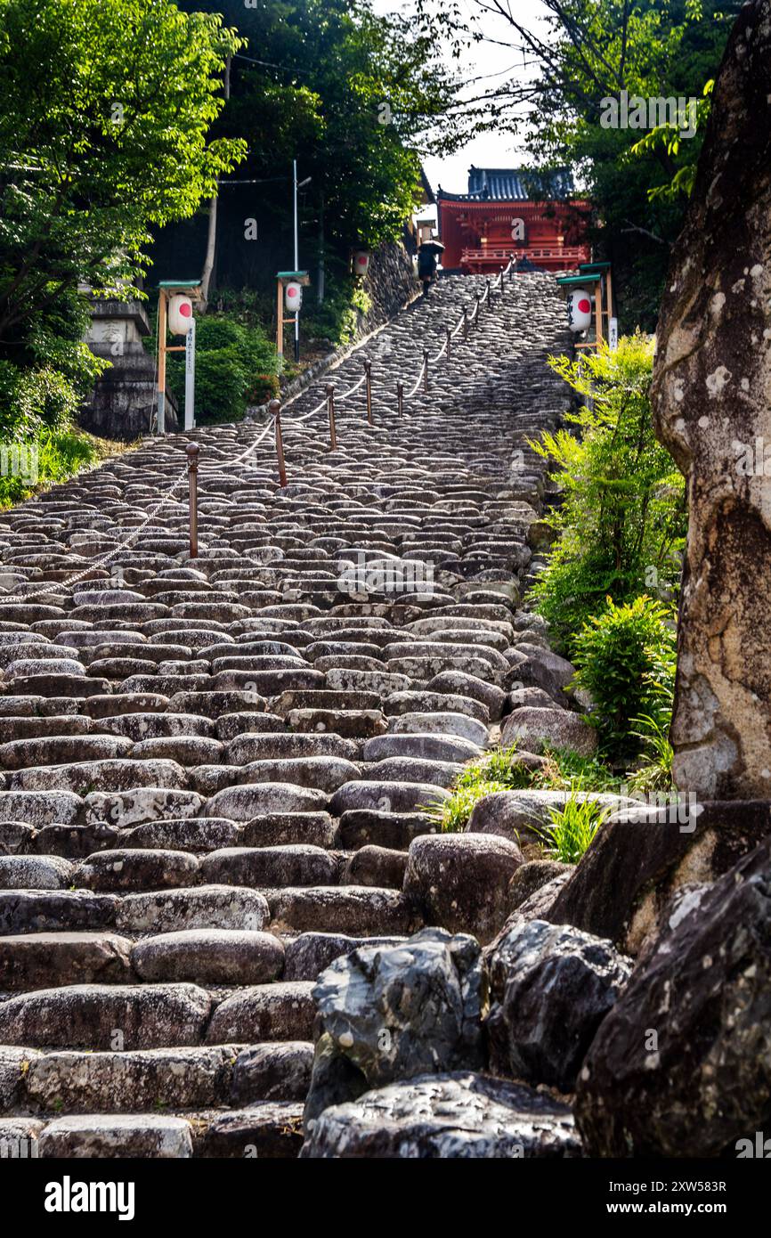 Scalini in pietra fino a Isaniwa Jinja, un santuario shintoista nel centro della città di Matsuyama, nella regione di Shikoku, in Giappone Foto Stock