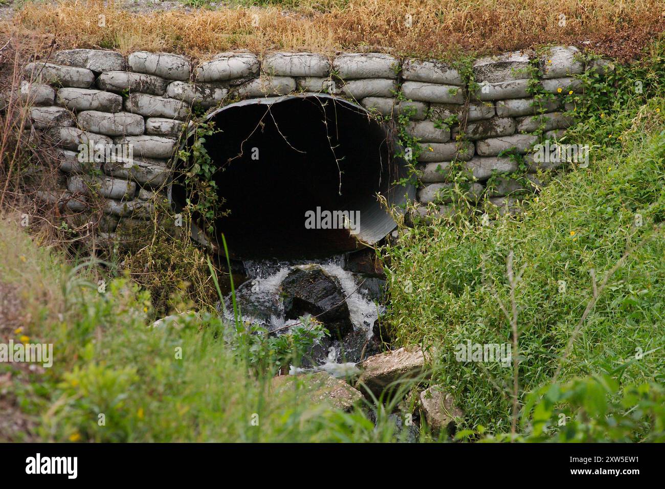 Vento che soffia erba mentre l'acqua scorre da un tubo di metallo con erba verde sui lati in un flusso di acqua corrente in una giornata di sole. Sopra le rocce Foto Stock