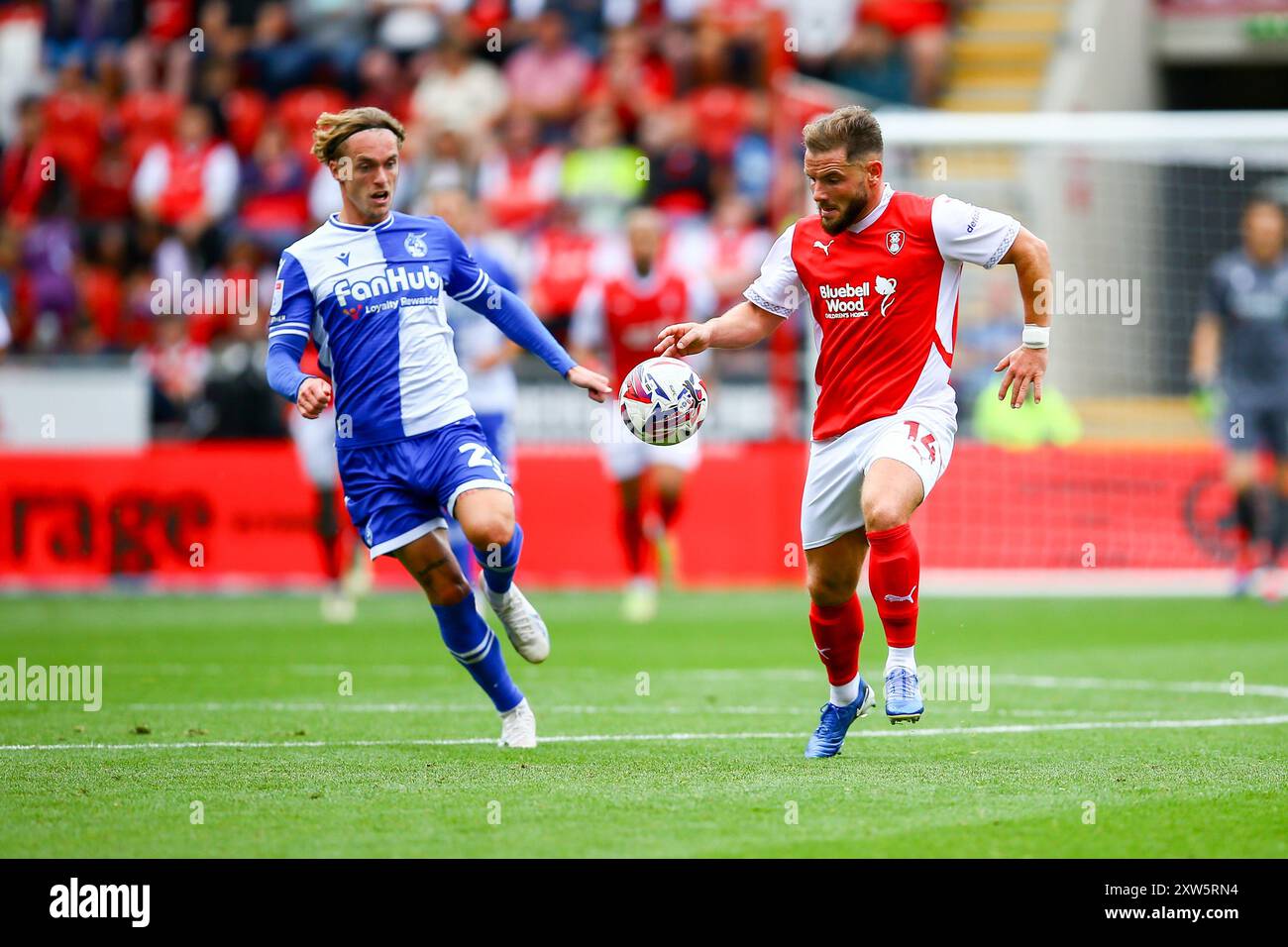 AESSEAL New York Stadium, Rotherham, Inghilterra - 17 agosto 2024 Alex MacDonald (14) del Rotherham United e Luke McCormick (23) dei Bristol Rovers combattono per la palla - durante la partita Rotherham United contro Bristol Rovers, Sky Bet League One, 2024/25, AESSEAL New York Stadium, Rotherham, Inghilterra - 17 agosto 2024 credito: Arthur Haigh/WhiteRosePhotos/Alamy Live News Foto Stock