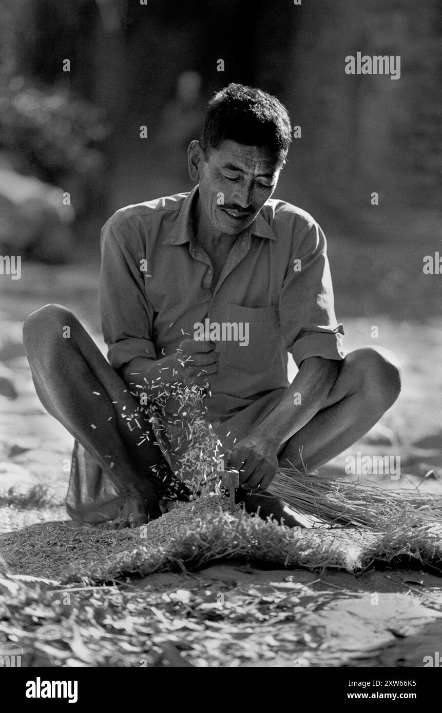 Un uomo nepalese asciuga il riso e separa la pula - Bhaktapur, Nepal 1991 Foto Stock