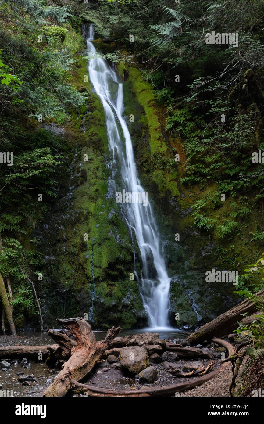 WA25599-00...WASHINGTON - Madision Falls nella valle del fiume Elwha dell'Olympic National Park. Foto Stock