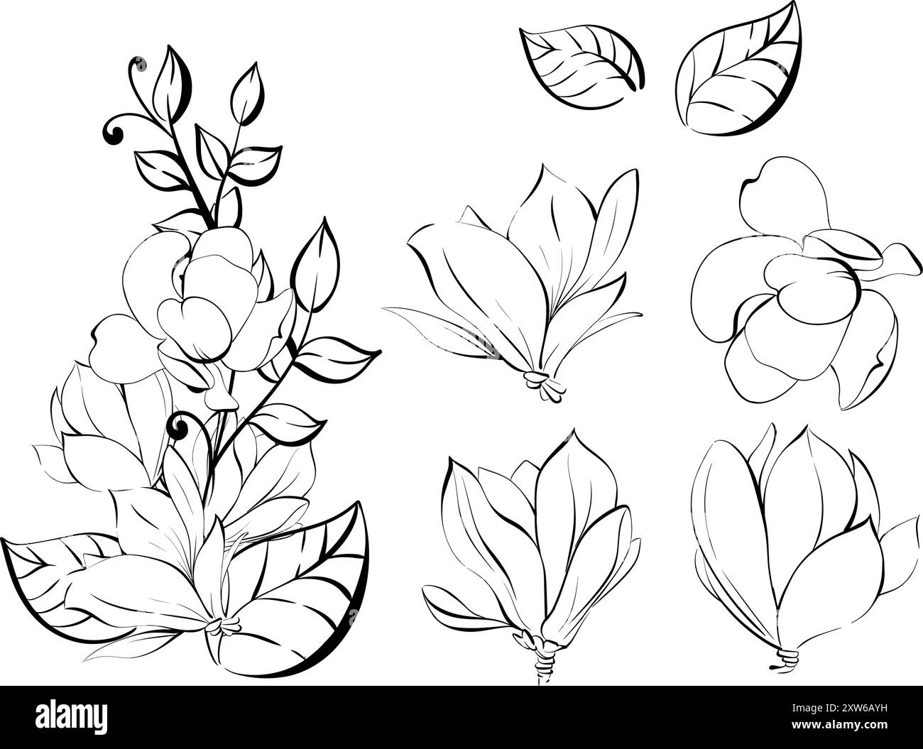 Set Magnolia, clipart vettoriale e pattern. Molla a balestra, elemento di design in stile romantico. Clipart per il design nello stile di Parigi, Francia Illustrazione Vettoriale Set Magnolia, clipart vettoriale e pattern. Molla a balestra, elemento di design in stile romantico. Clipart per il design nello stile di Parigi, Francia Illustrazione Vettoriale
