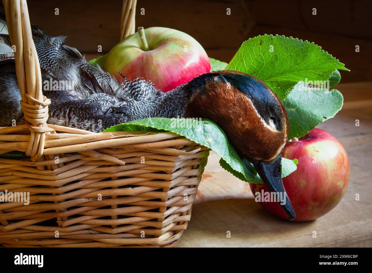 La preda del cacciatore (una ciotola abbattuta) e le mele rosse sono in un cestino di vimini. Primo piano. Foto Stock