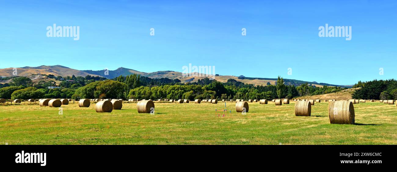 Round balle di fieno in una fattoria a Tai Tapu Canterbury Nuova Zelanda in autunno con spazio di copia Foto Stock