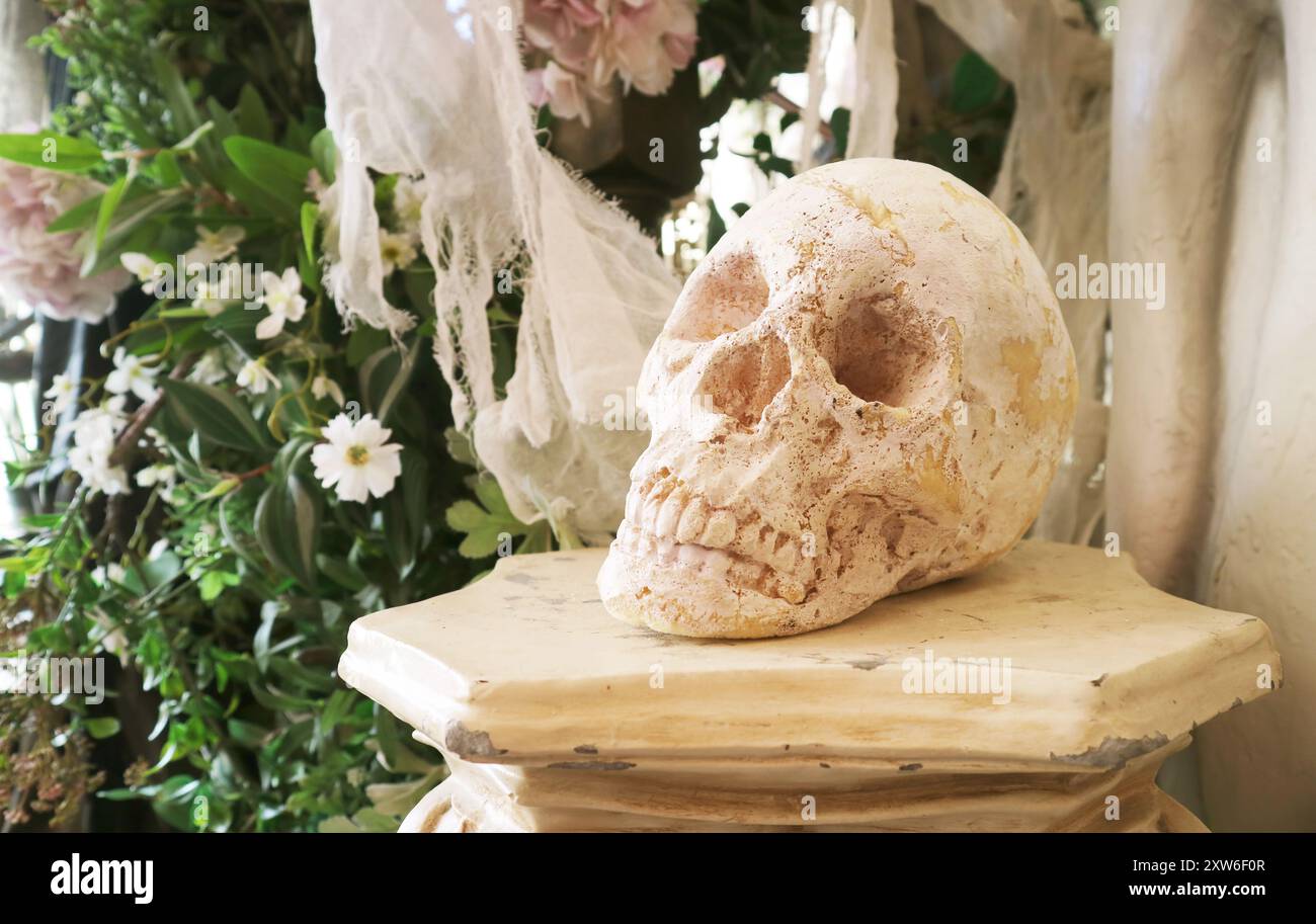 Replica del teschio nel giardino per la decorazione di Halloween Foto Stock