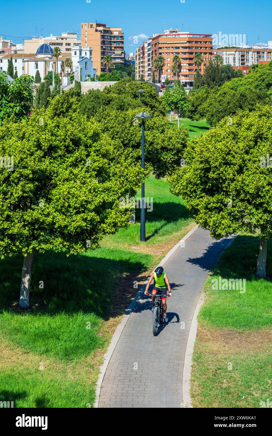 Ciclista su una pista ciclabile, Turia Garden, Valencia, Comunità Valenciana, Spagna Foto Stock