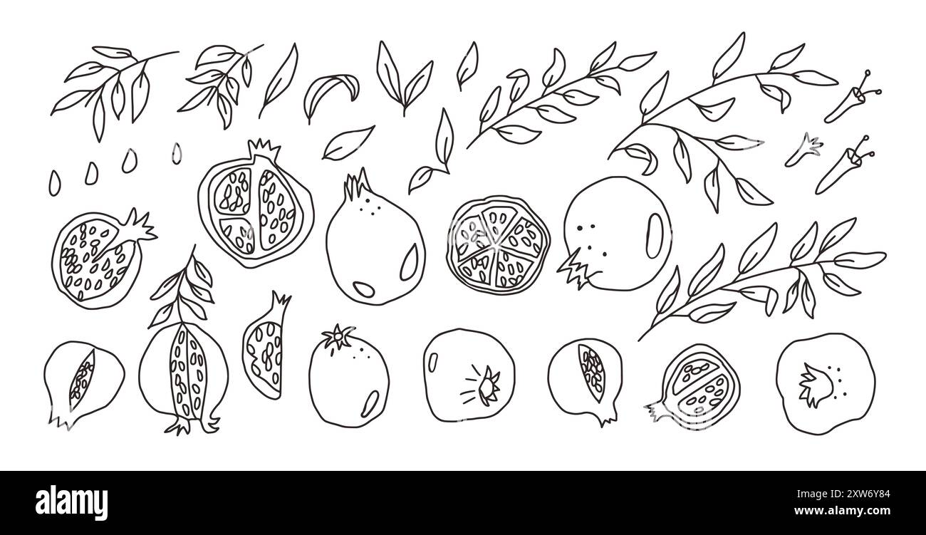 Set di melograni doodle. Illustrazione della raccolta di frutti maturi e foglie in bianco e nero disegnati a mano su sfondo bianco. Illustrazione Vettoriale