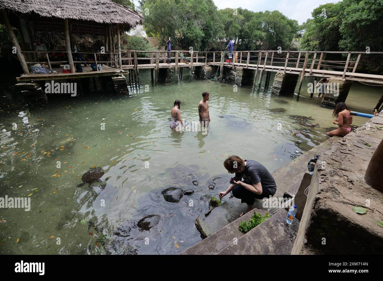 Acquario Nungwi zanzibar Seaturtles Conservancy Foto Stock