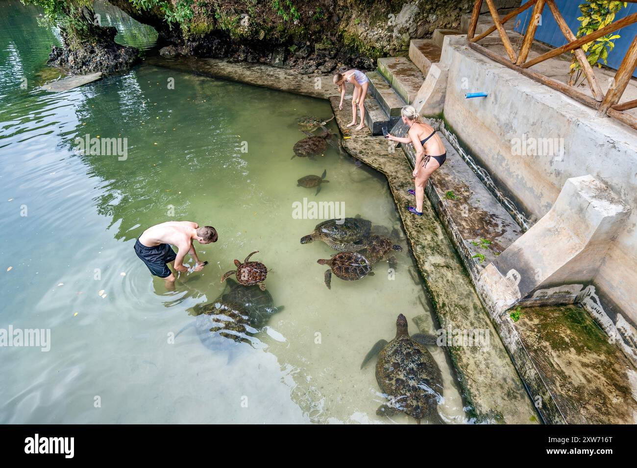 Acquario Nungwi zanzibar Seaturtles Conservancy Foto Stock