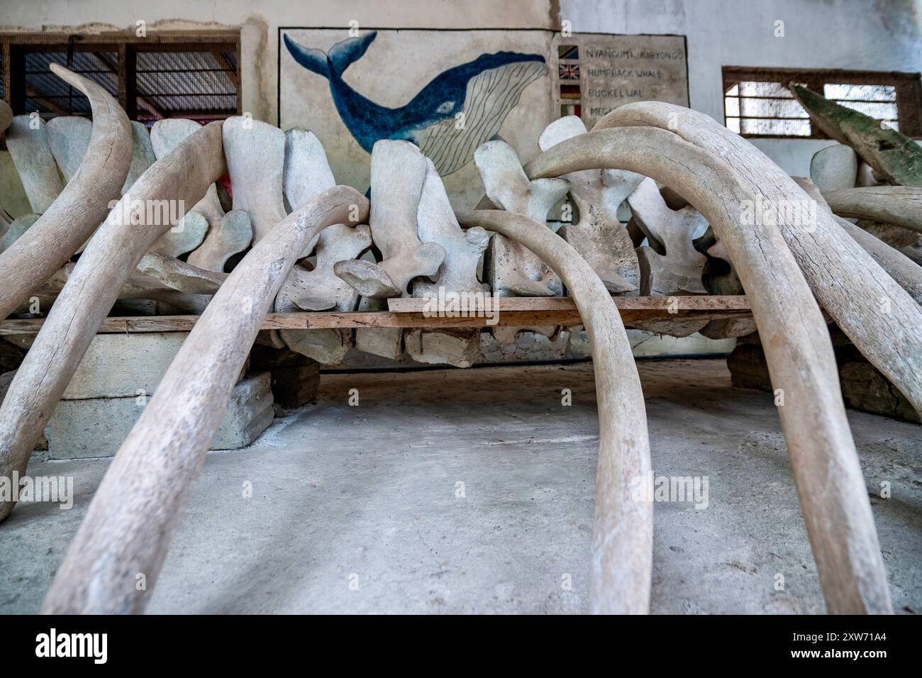 Acquario Nungwi zanzibar Seaturtles Conservancy Foto Stock