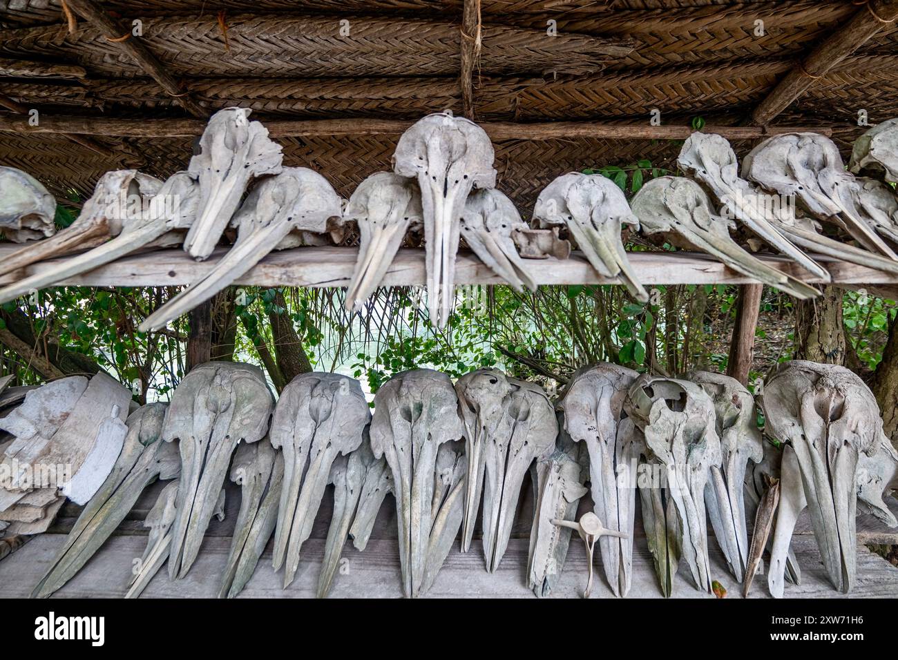 Acquario Nungwi zanzibar Seaturtles Conservancy Foto Stock