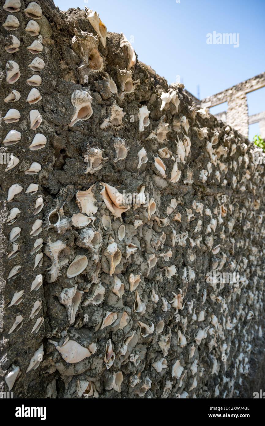 Muro di una casa fatta di conchiglie a Zanzibar - un esempio sorprendente di uso insostenibile delle risorse marine nelle pratiche di costruzione locali. Foto Stock