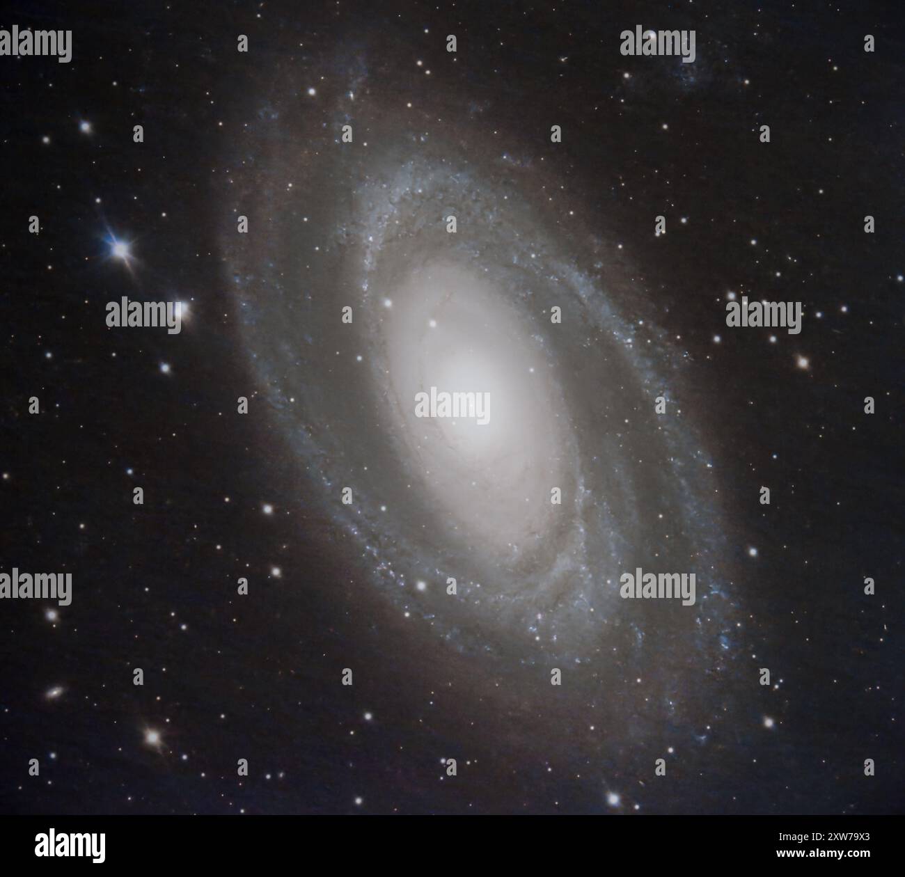 La galassia a spirale M81 nell'Ursa maggiore Foto Stock