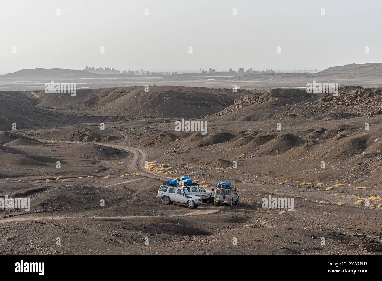 In viaggio verso una creazione ultraterrena nel lago Abbe, Gibuti Foto Stock