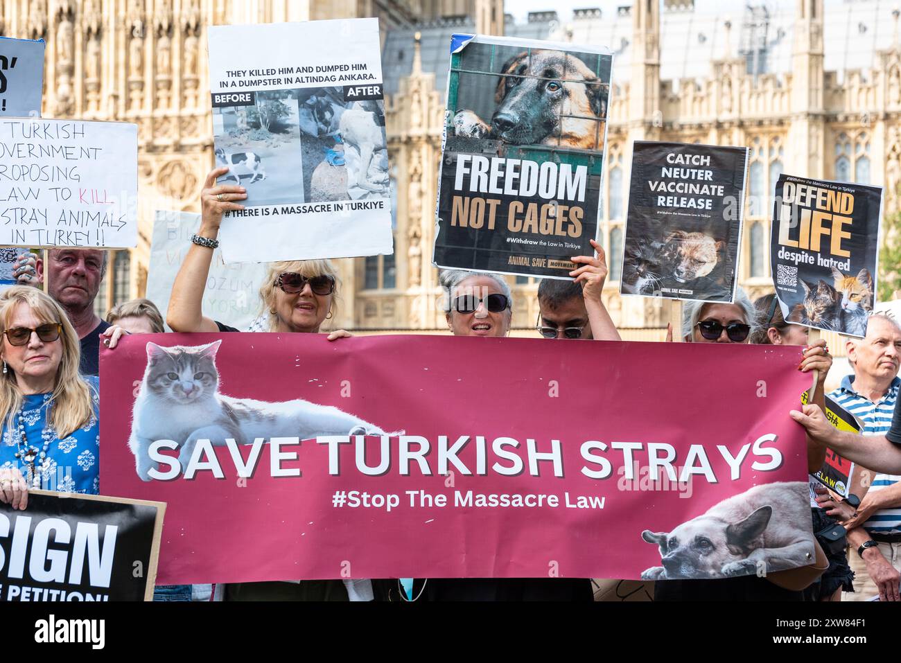 Londra, Regno Unito. 17 agosto 2024. Gli attivisti animali di "Animal Save Movement" insieme all'autore Dominic Dyer protestano al di fuori del Parlamento britannico contro la nuova legge turca che chiede l'eutanasia degli animali randagi a Türkiye e il loro isolamento in spazi ristretti. Crediti: Andrea Domeniconi/Alamy News Foto Stock