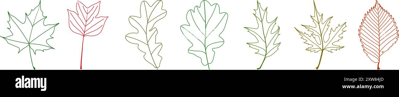 Foglie d'albero nella progettazione del contorno. Foglie di alberi di forme diverse. Foglie di quercia, acero, betulla su sfondo trasparente Foto Stock