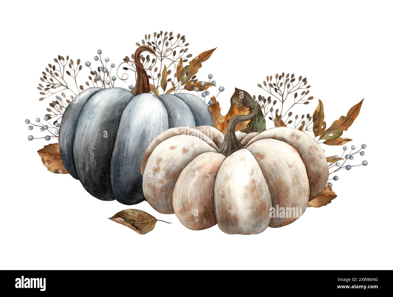 Zucca bianca e nera con foglie autunnali, diversi rami secchi. Illustrazione ad acquerello disegnata a mano in stile vintage. L'immagine è adatta per H. Foto Stock