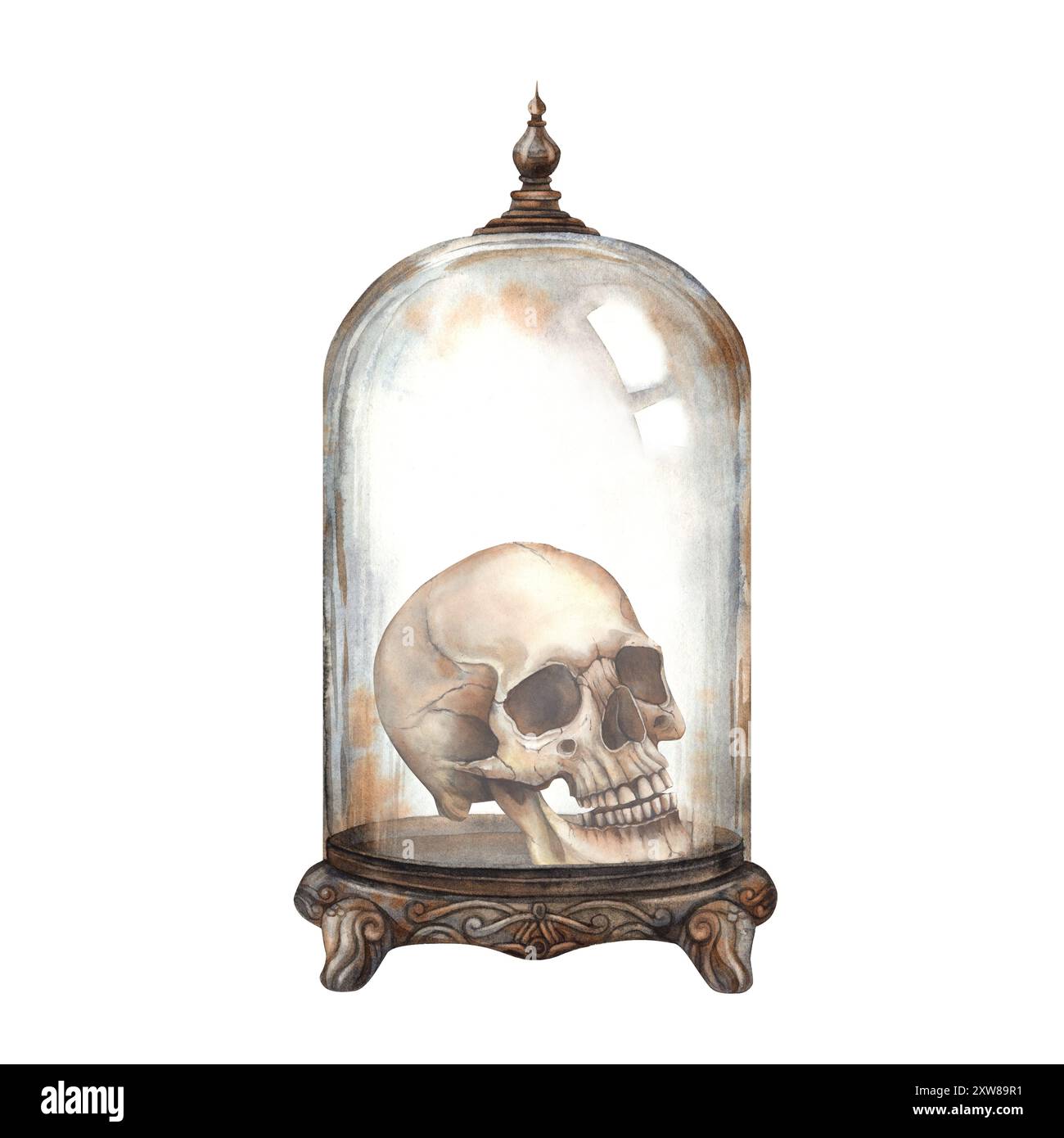 Cranio umano realistico in antica cupola di vetro di rame. Illustrazione ad acquerello su sfondo isolato in stile gotico. Adatto per decorazioni di Halloween, Foto Stock