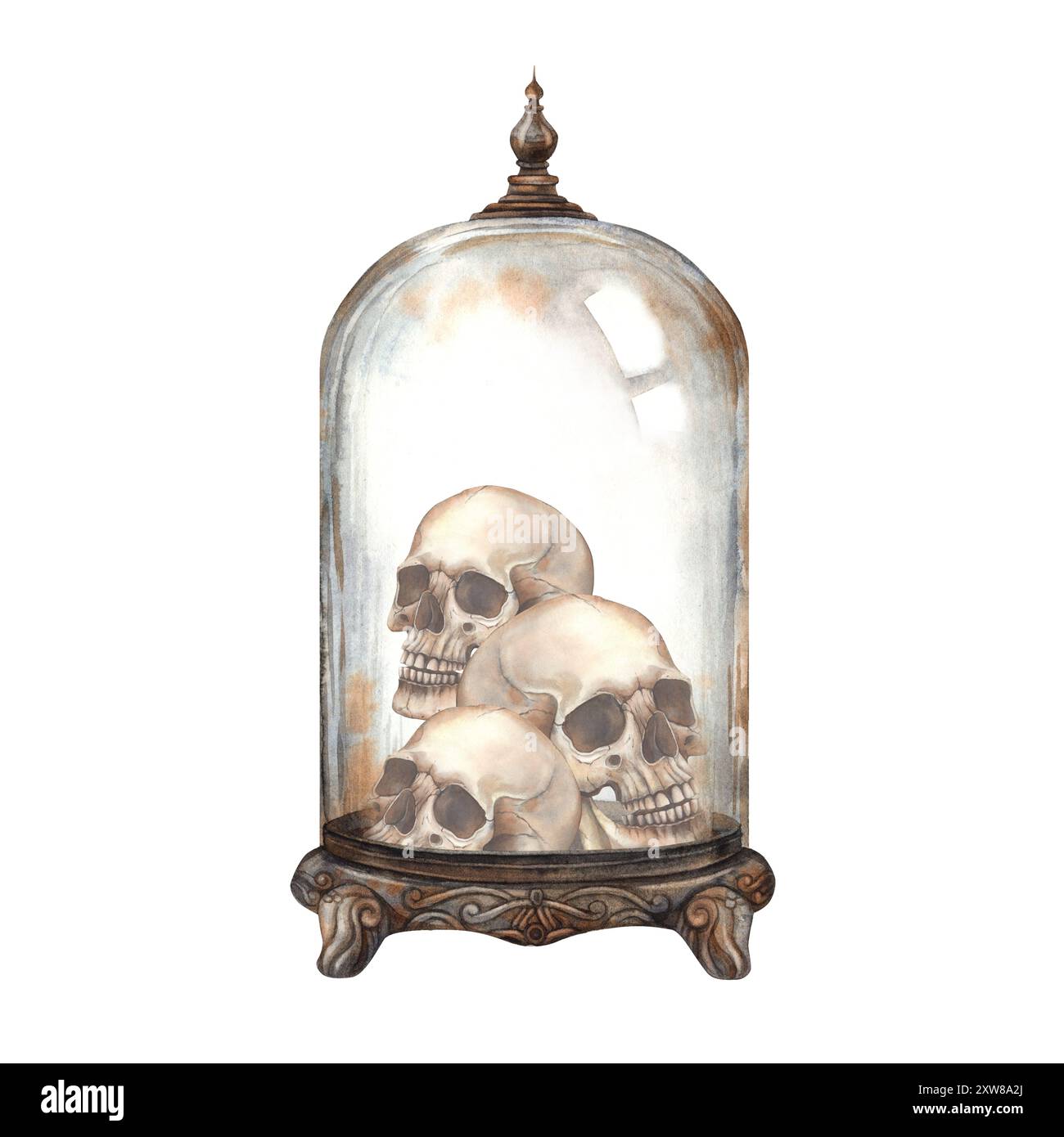 Cranio umano realistico in antica cupola di vetro di rame. Illustrazione ad acquerello su sfondo isolato in stile gotico. Adatto per decorazioni di Halloween, Foto Stock