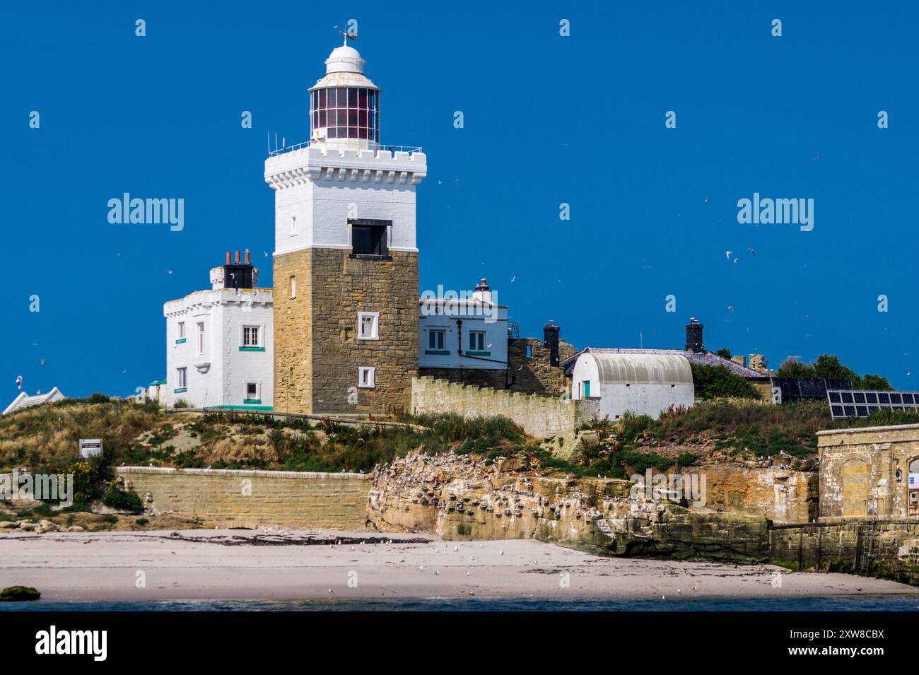 Coquet Island llghthouse, Amble, Northumberland, Inghilterra Foto Stock