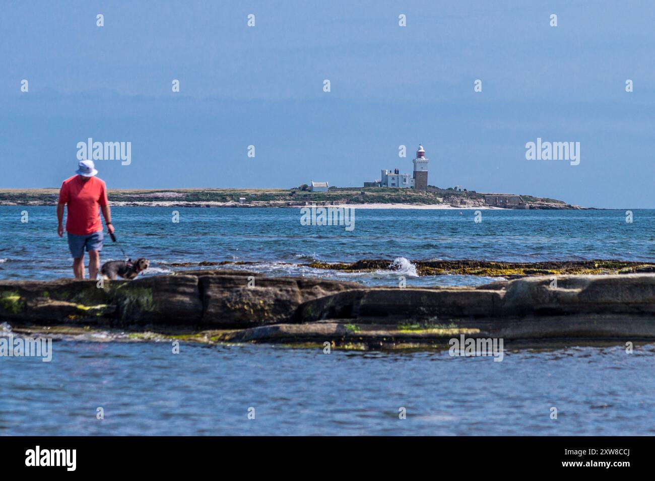 Camminare, Northumberland, Inghilterra Foto Stock