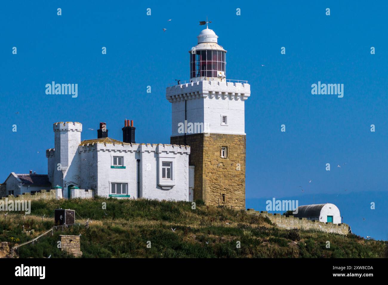 Coquet Island llghthouse, Amble, Northumberland, Inghilterra Foto Stock