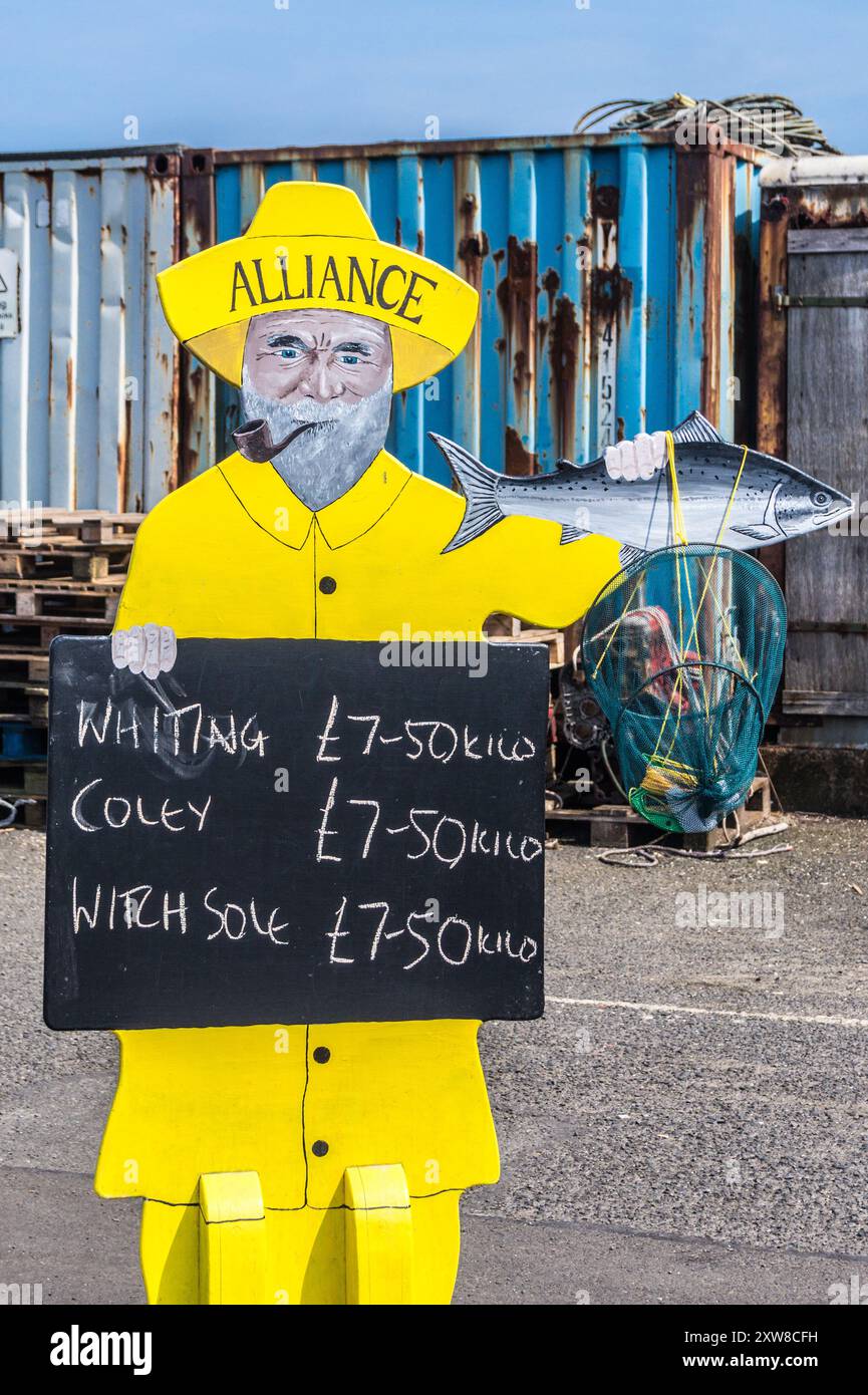 Listino prezzi del pesce sotto forma di pescatore in cappotto sou'wester Oilskins, Alliance Fish Sea fishing Company, Amble, Northumberland, Inghilterra Foto Stock