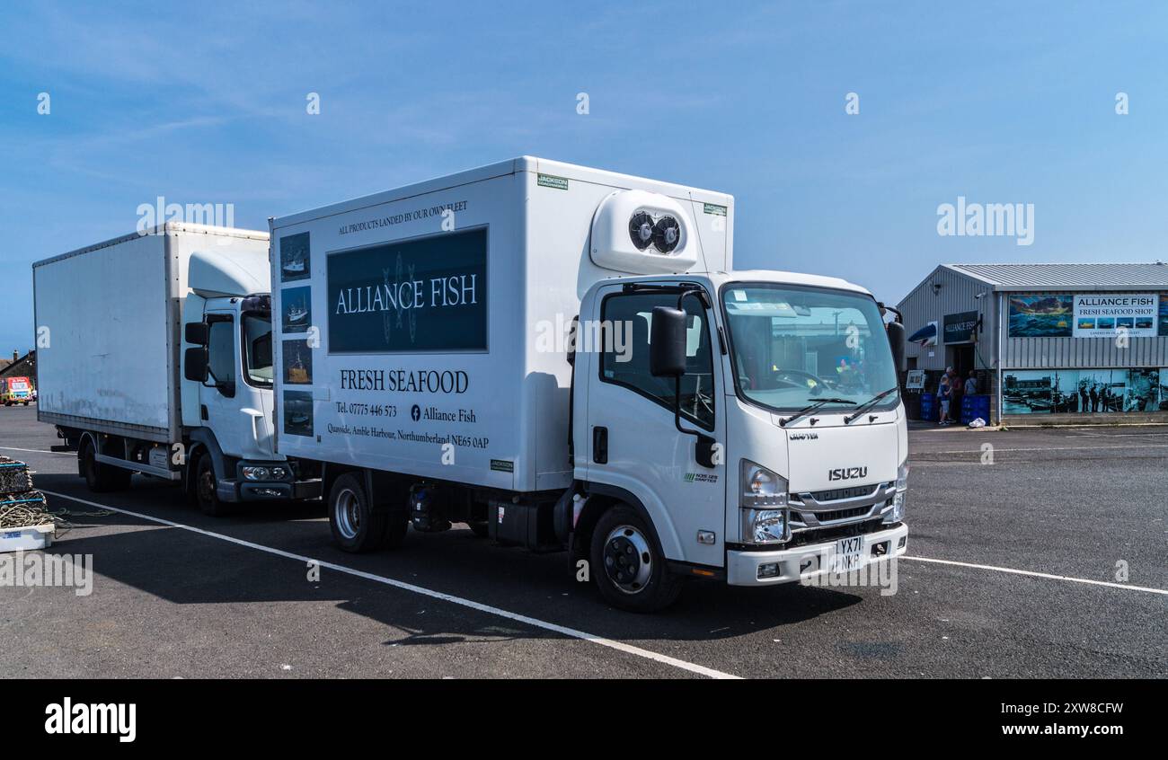 Camion refrigerati della compagnia di pesca marittima Alliance Fish, Amble, Northumberland, Inghilterra Foto Stock