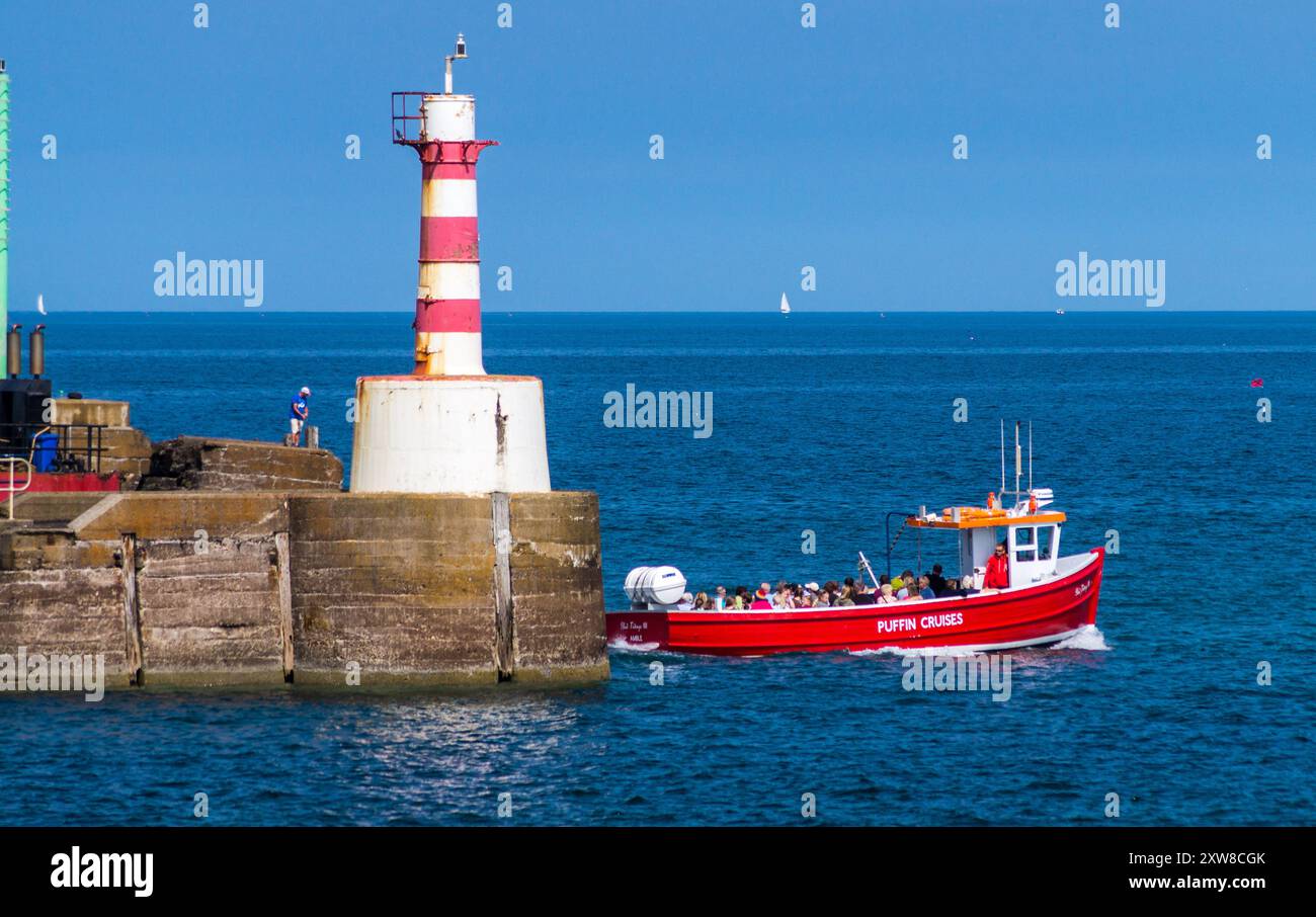 Tour in barca con osservazione delle pulcinelle di mare, Amble, Northumberland, Inghilterra Foto Stock