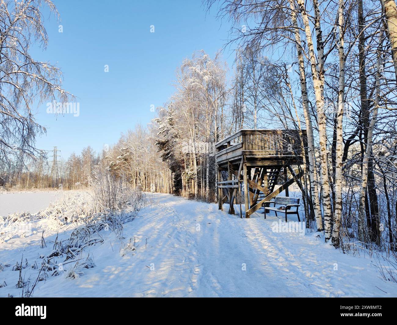 Torre in legno per il birdwatching sullo sfondo di alberi innevati e del lago in inverno, hobby in Finlandia, Suomenoja Foto Stock