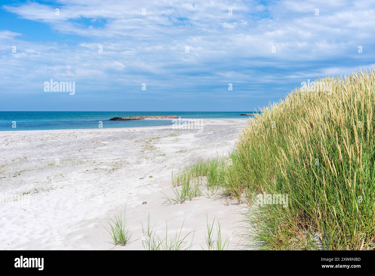 Dänemark, Anholt, Segeln in Dänemark, 29.06.2024: Ein Hauch von Karibik-Flair weht über den Strand von Anholt, während die Brandung des Kattegats an den Weißen Sandstrand spült. Segeln in Dänemark *** Danimarca, Anholt, Vela in Danimarca, 29 06 2024 Un tocco di stile caraibico si bagna sulla spiaggia di Anholt, mentre il surf del Kattegat si bagna sulla spiaggia di sabbia bianca navigando in Danimarca Foto Stock