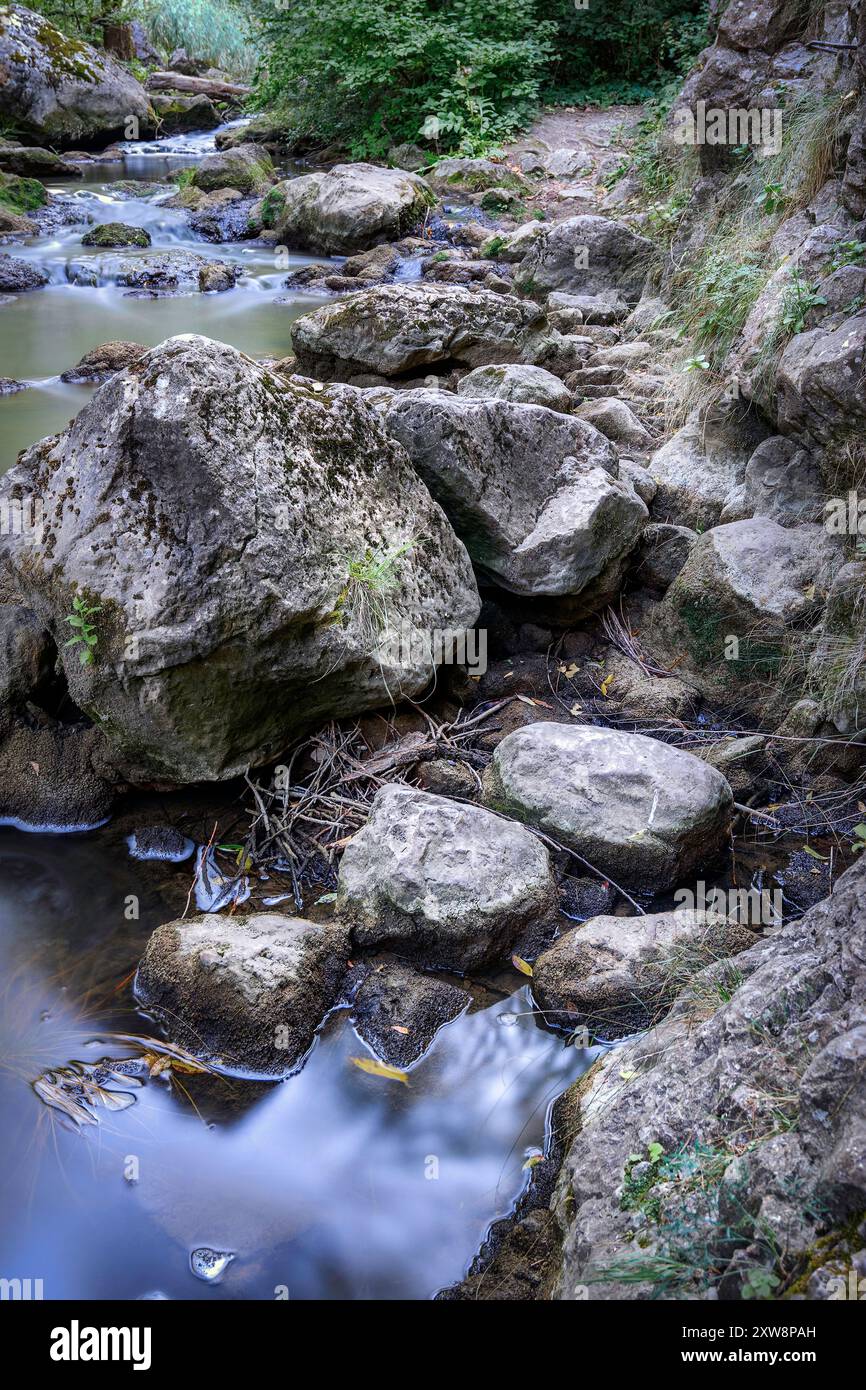 Rocce sulla riva del fiume della gola di Tureni, un'area selvaggia in Transilvania Foto Stock