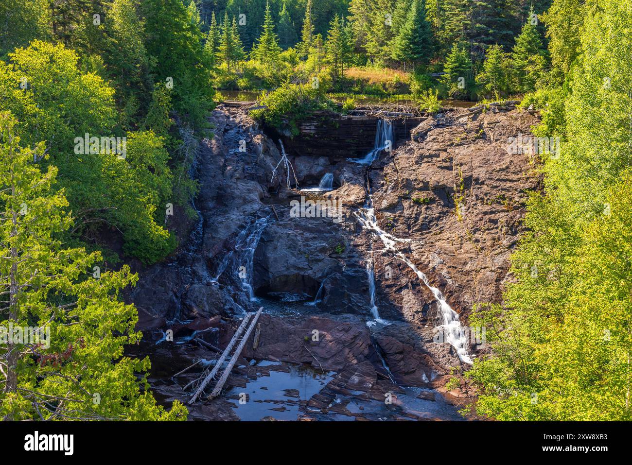 Una cascata nel bosco in una giornata di sole. Foto Stock