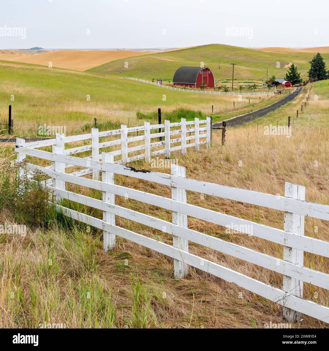 Terreno agricolo con fienile rosso e recinzione di picchetti bianchi Foto Stock