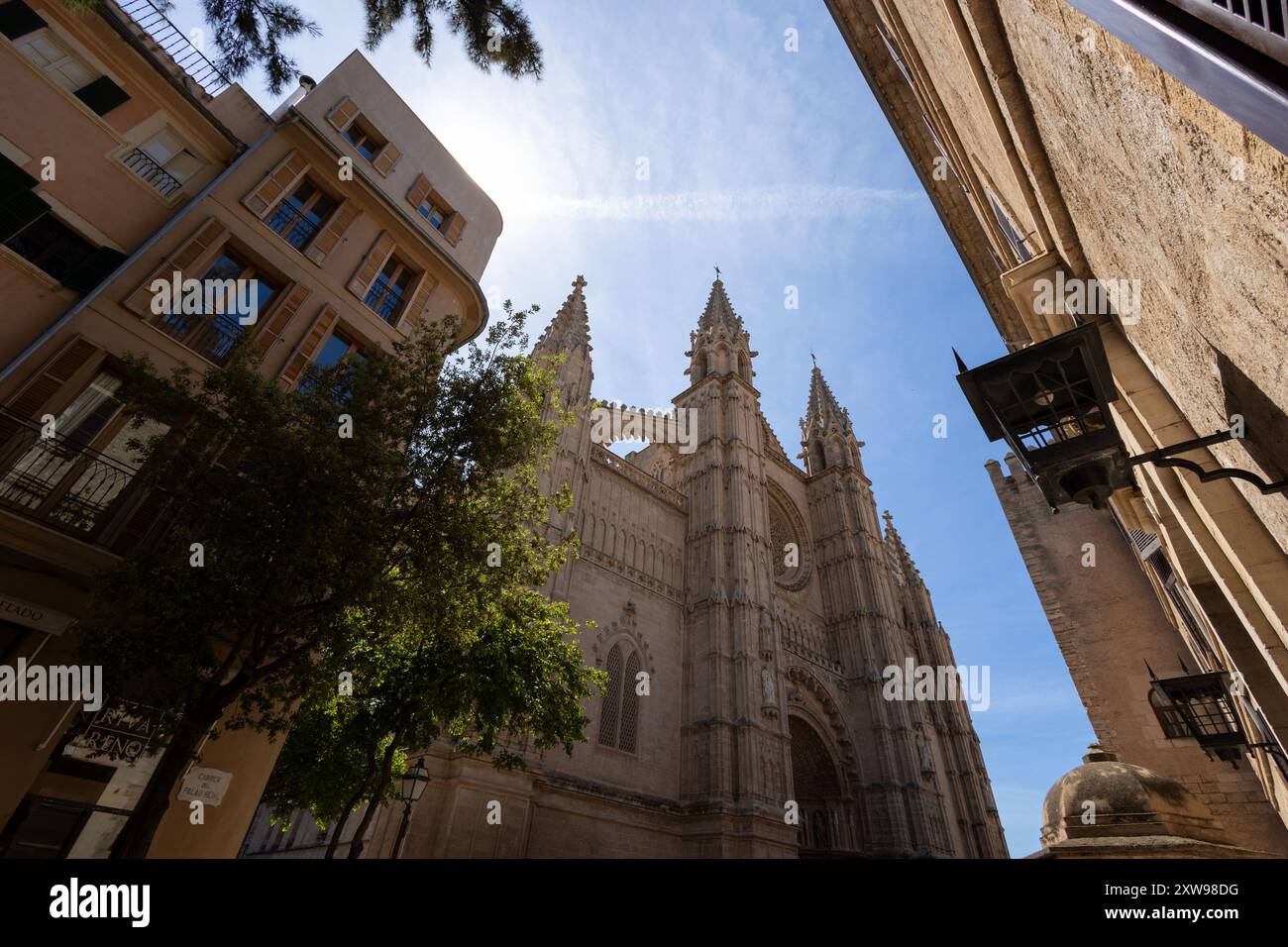 Splendida vista grandangolare di la Seu, l'iconica cattedrale di Palma, che si innalza maestosamente contro un cielo blu brillante, evidenziandone l'immensa scala e l'intri Foto Stock