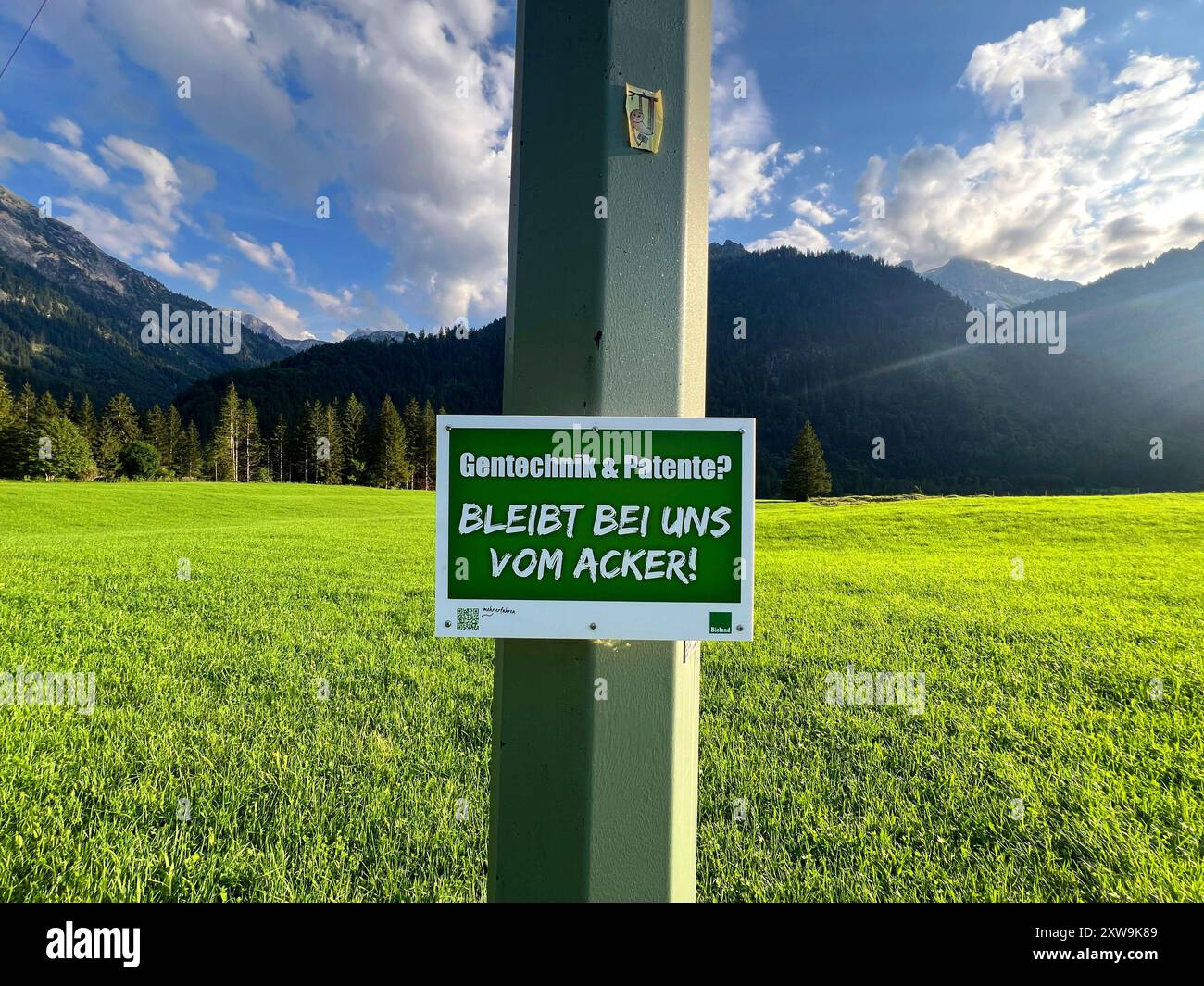 18.08.2024, Bad Hindelang im Allgäu, Sommerferien im Heilkimatischen Ort. Schild in einer Weide, zum Thema Gentechnik. Gentechnik und brevetto Bleibt bei uns vom Acker. 18.08.2024, Bad Hindelang im Allgäu 18.08.2024, Bad Hindelang im Allgäu *** 18 08 2024, Bad Hindelang nel Allgäu, vacanze estive nel villaggio di Heilkimat, iscriviti a pascolo, in materia di ingegneria genetica ingegneria genetica e brevetti stare fuori dai nostri campi 18 08 2024, Bad Hindelang nel Allgäu 18 08 2024, Bad Hindelang nel Allgäu Foto Stock