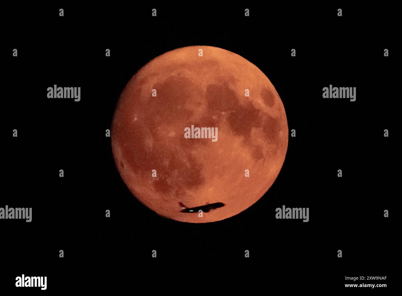 Londra, Regno Unito. 18 agosto 2024. Meteo nel Regno Unito: La Sturgeon Blue Supermoon (Waxing Gibbous) al 99% vede un jet passeggeri attraversare la superficie lunare vista dal nord-ovest di Londra alle 21:11 di domenica sera. Tradizionalmente chiamato Sturgeon Moon perché lo storione gigante dei grandi Laghi e del lago Champlain erano più facilmente catturati durante questa parte dell'estate," secondo l'Almanacco dell'Old Farmer. Crediti: Guy Corbishley/Alamy Live News Foto Stock