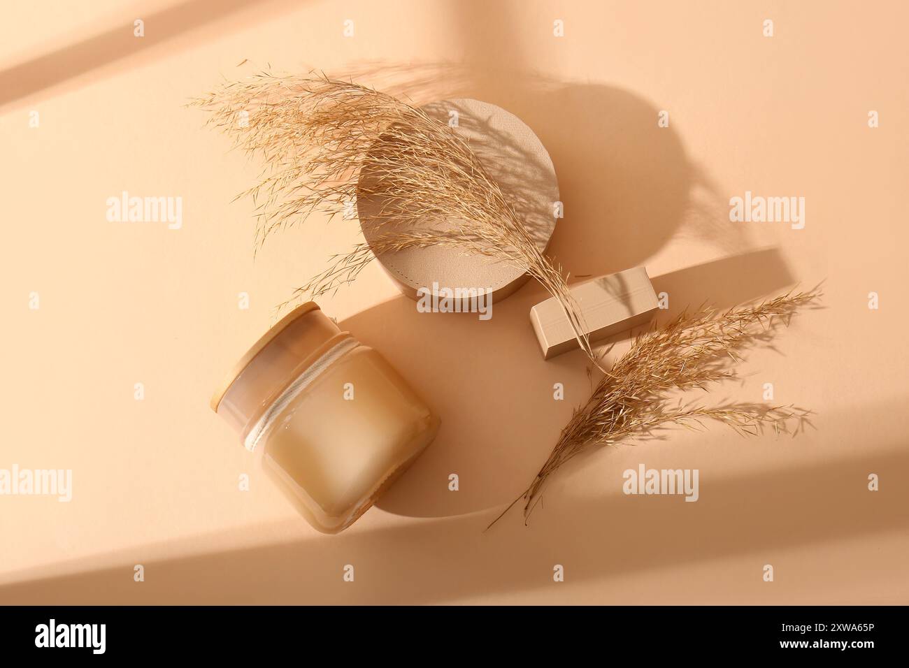Composizione con podi in gesso, vasetto di prodotto cosmetico e canne asciutte su sfondo colorato Foto Stock