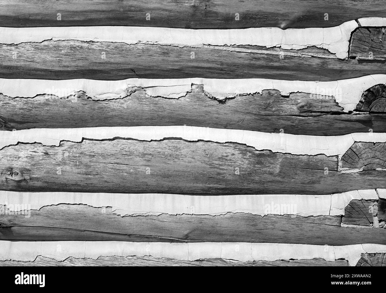 Vista dettagliata del legno e del vecchio cemento che formano una parete di una capanna di legno risalente all'inizio del XX secolo Foto Stock