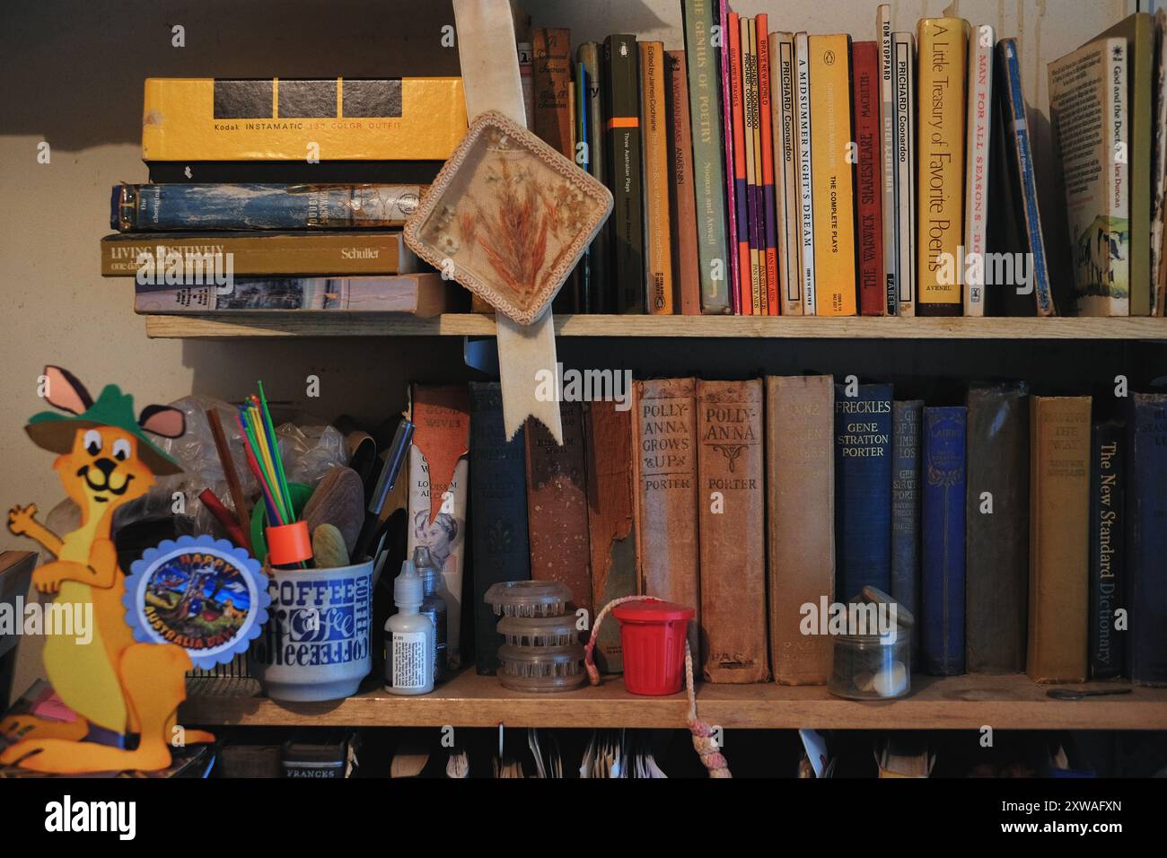 Vecchi libri appartenenti a genitori anziani che vivono nella propria casa, matite, slancio, baby boomer Clutter Foto Stock