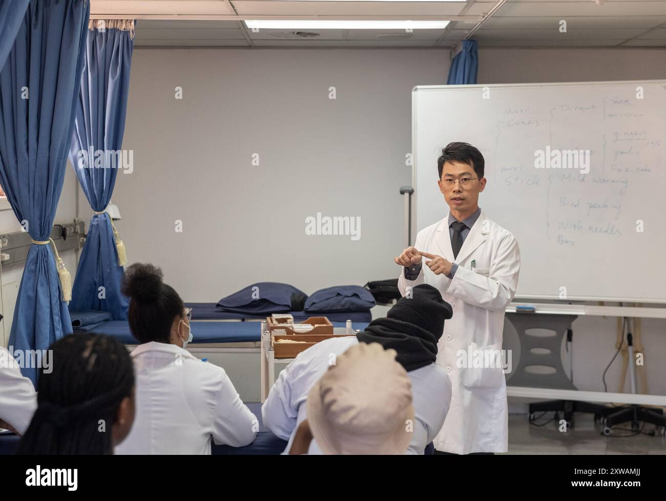 (240819) -- JOHANNESBURG, 19 agosto 2024 (Xinhua) -- Hu Zijing parla durante una formazione di agopuntura sul moxibustion all'Università di Johannesburg a Johannesburg, Sudafrica, il 29 luglio 2024. Nel Dipartimento di Medicina complementare, Facoltà di Scienze della salute presso l'Università di Johannesburg, gli studenti del secondo anno hanno avuto un corso di formazione moxibustion. Durante la formazione, impararono a conoscere le funzioni del moxibustion e praticarono varie tecniche utilizzando coni di moxa e bastoncini di moxa sotto la guida di Hu Zijing, docente senior e ricercatore del dipartimento. HU è responsabile di Foto Stock