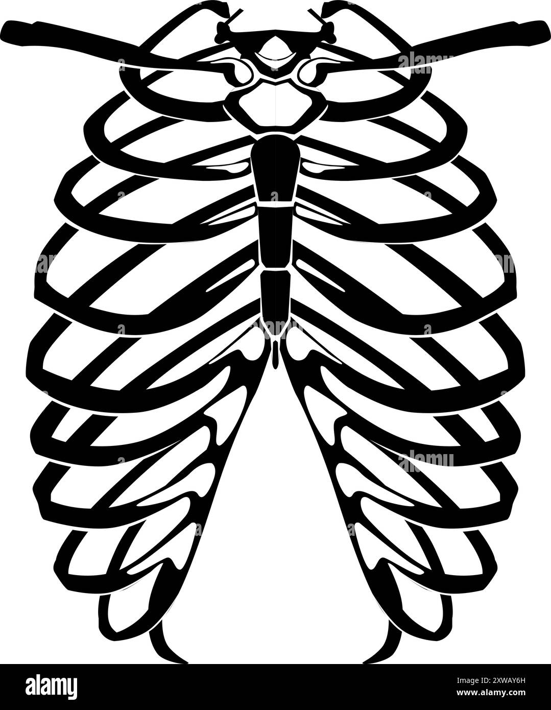 Sagoma della gabbia toracica. Ossa di anatomia umana nera Illustrazione Vettoriale